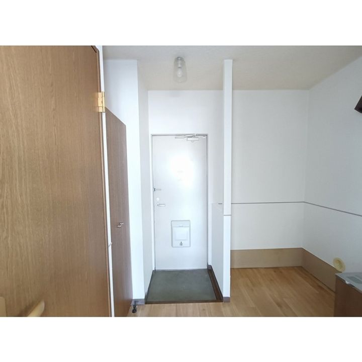 住感シリーズP202の玄関