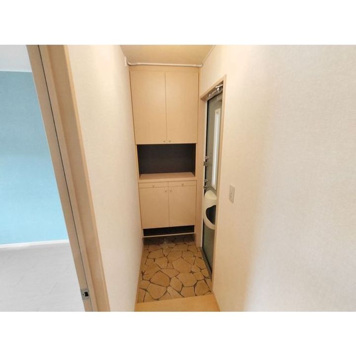 ウィル桜町D202の玄関