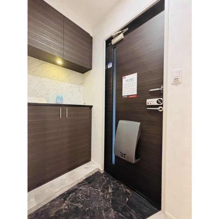 DIAS RIVER SIDE B棟の玄関