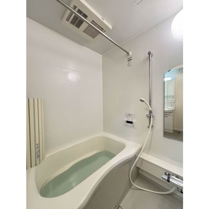 CORTE DEL SOLE C棟201の風呂