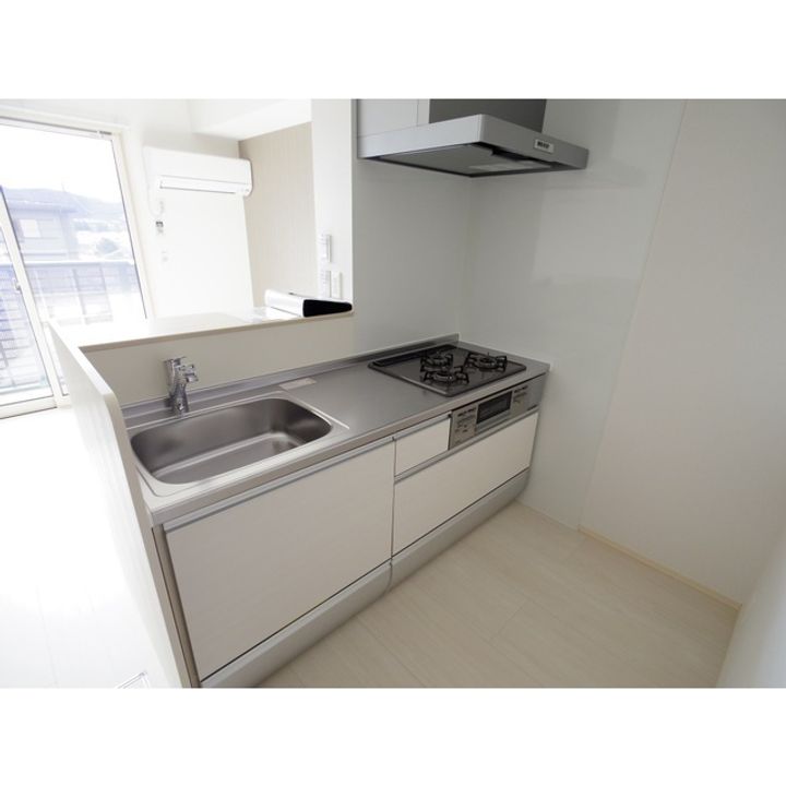 ロイヤルヴィレッタ A棟102のキッチン