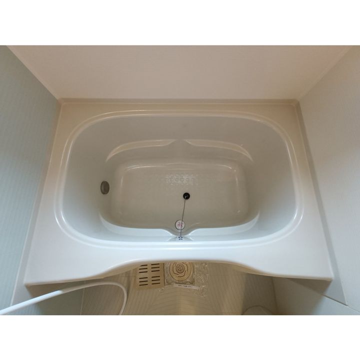 Green Hills桔梗Ⅱ203の風呂