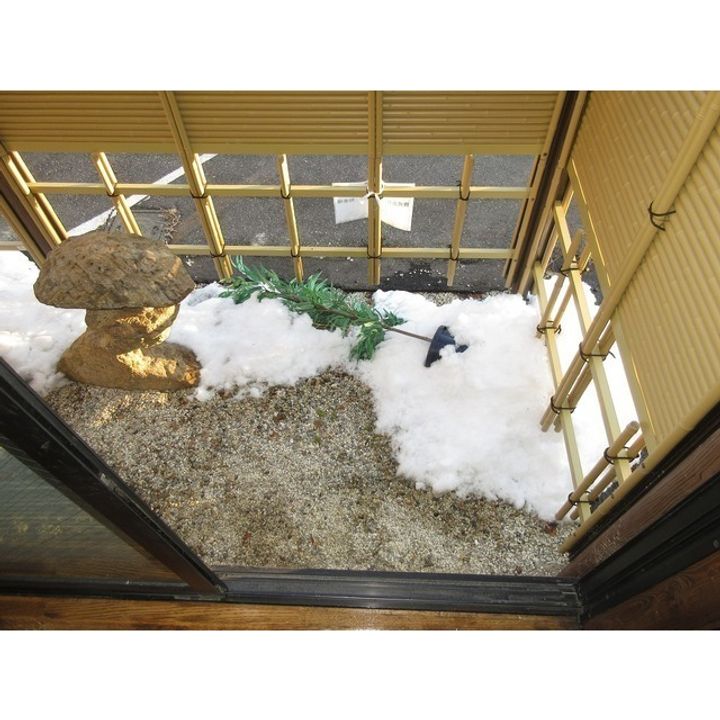 ロイヤルパレス202のその他画像