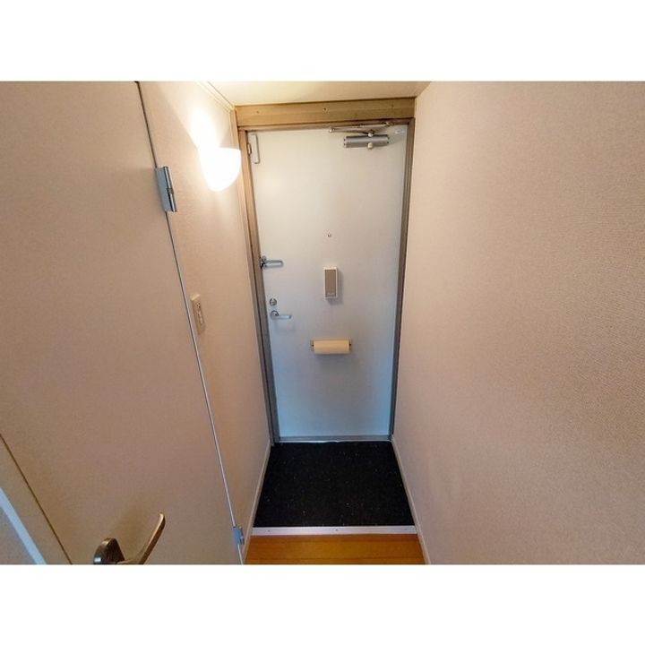 レオパレスドリーミーちの109の玄関