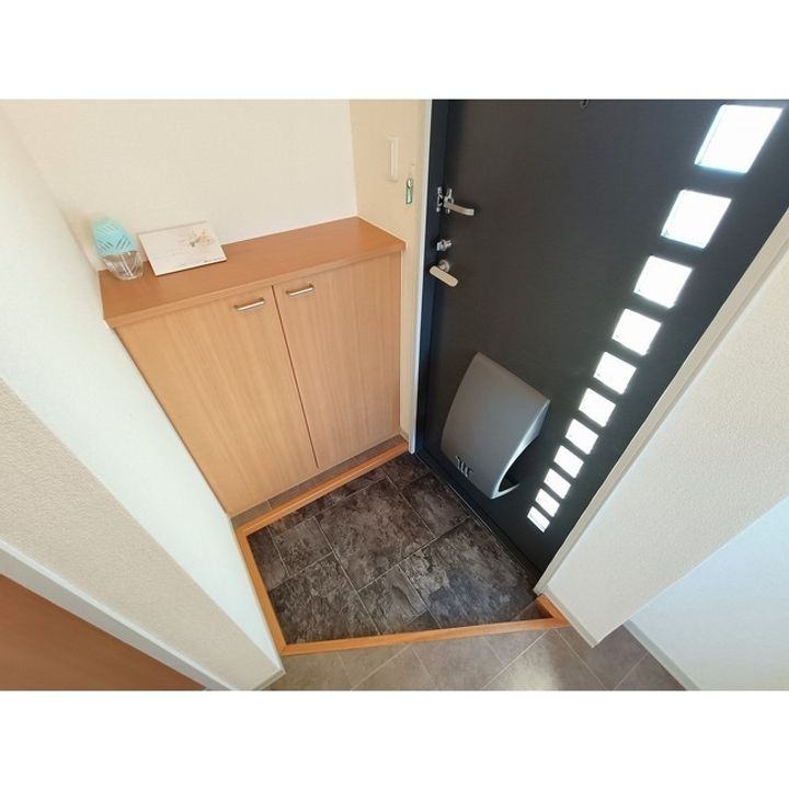 ディアス新枡 B201の玄関