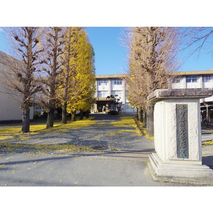 長野県伊那市西町(一戸建)の賃貸物件6の周辺