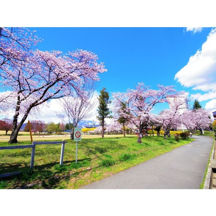 戸根川コーポ1-Aの周辺