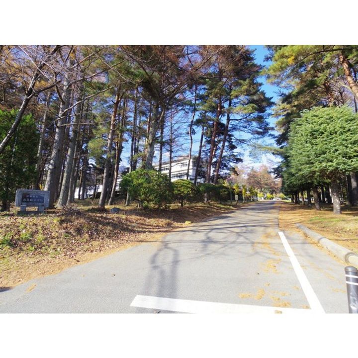 みのわアパート11の周辺