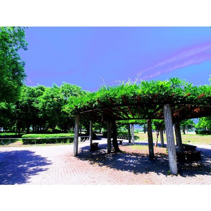 メゾンアグレアーブルの周辺