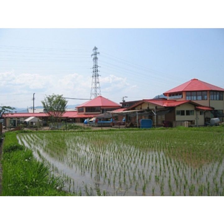 ハイデンス常入203の周辺