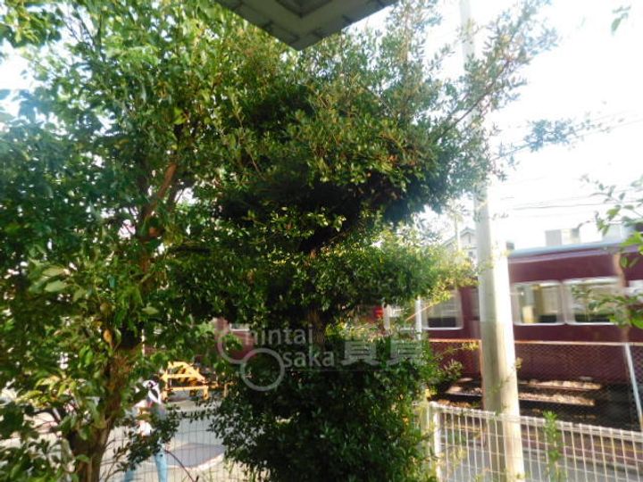 RIO花屋敷の周辺