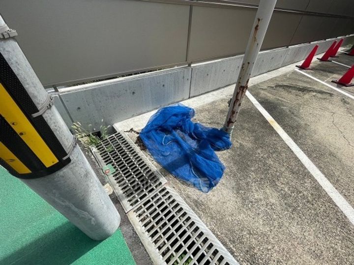 大阪府池田市天神2丁目の賃貸マンションのその他画像