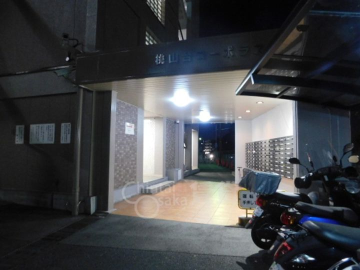 大阪府豊中市新千里南町3丁目の賃貸マンションの玄関
