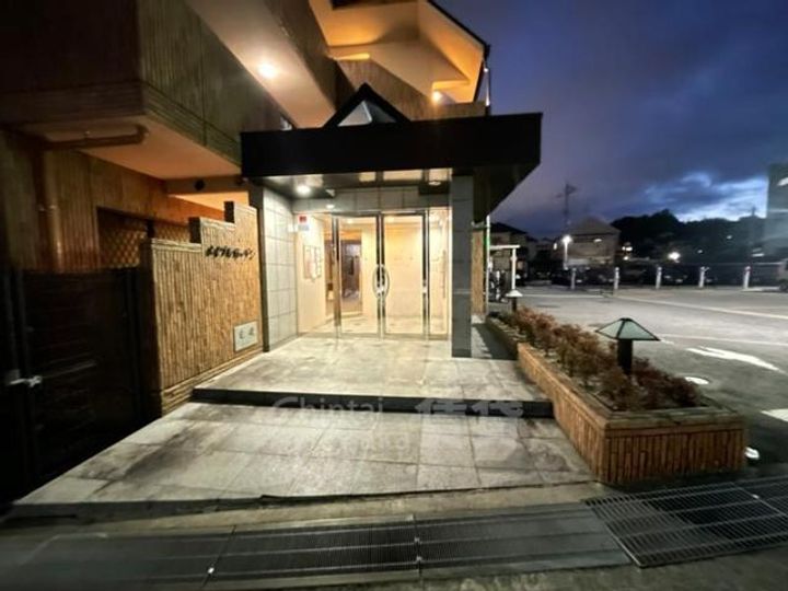 兵庫県宝塚市平井1丁目の賃貸マンションの玄関