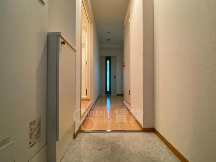大阪府豊中市服部南町3丁目の賃貸マンションの玄関