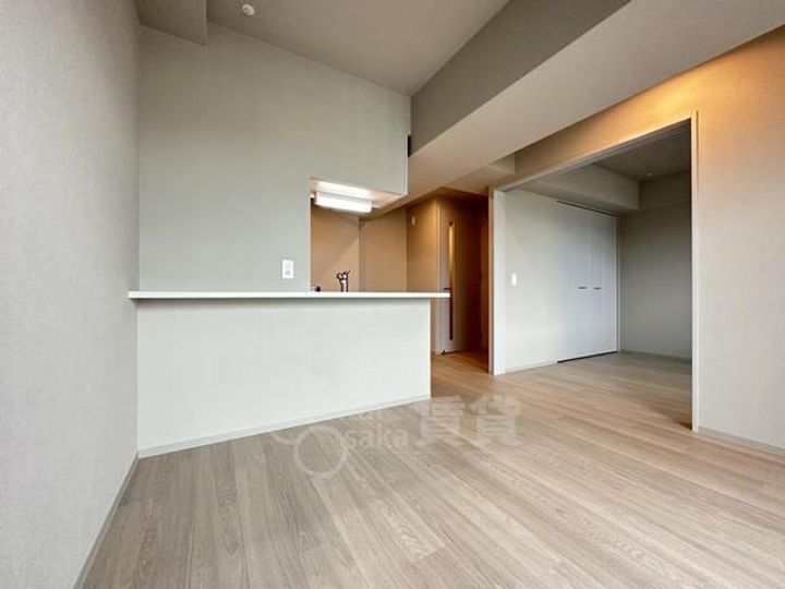 大阪府吹田市垂水町3丁目の賃貸マンションの居間