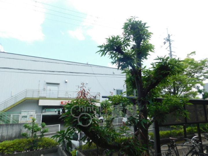 大阪府箕面市粟生新家2丁目の賃貸アパートの周辺