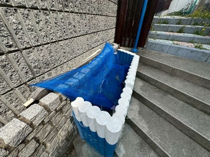 ワールドハーモニーのその他画像