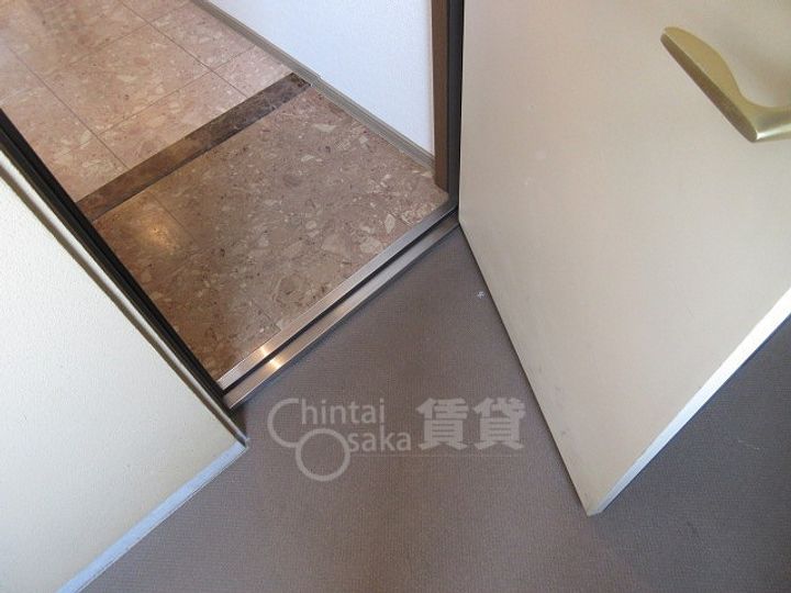 大阪府大阪市淀川区西中島7丁目の賃貸マンションの玄関