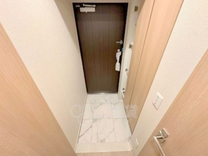 大阪府大阪市淀川区宮原1丁目の賃貸マンションの玄関