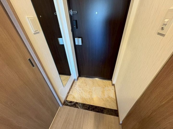 大阪府大阪市淀川区新高2丁目の賃貸マンションの玄関