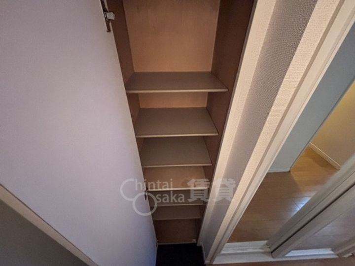 大阪府摂津市鳥飼上5丁目の賃貸マンションの内装