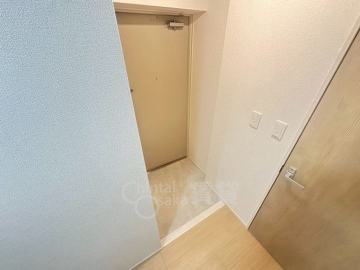 大阪府茨木市東奈良2丁目の賃貸マンションの玄関