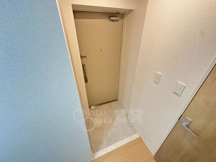 大阪府茨木市東奈良2丁目の賃貸マンションの玄関