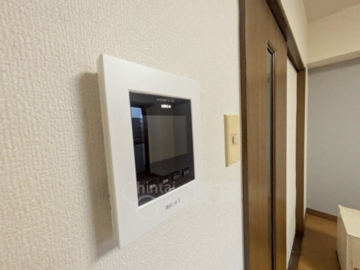 シロハイヌのその他画像