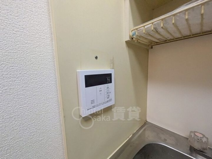 シロハイヌのその他画像