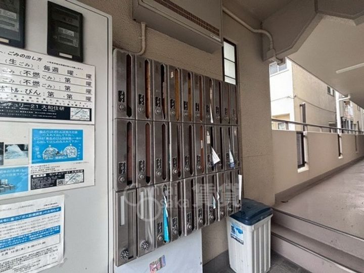 シロハイヌのその他画像