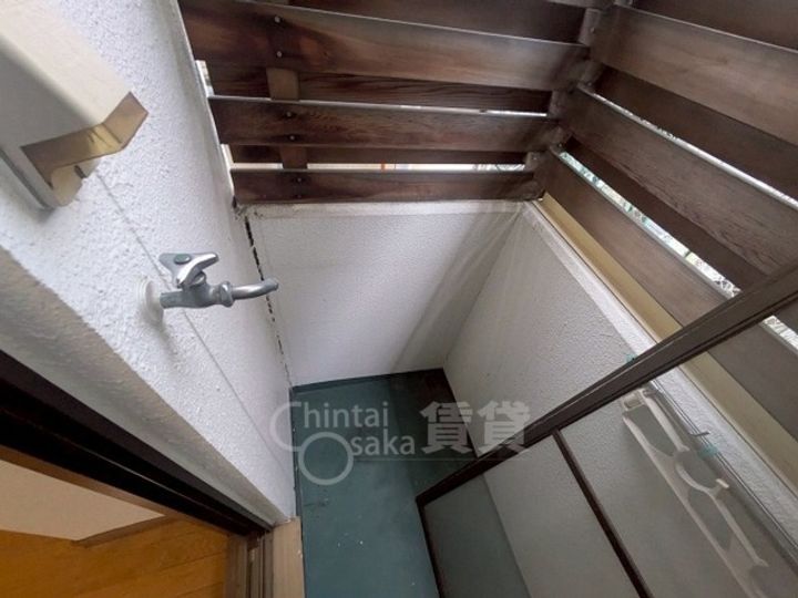 シロハイヌのその他画像