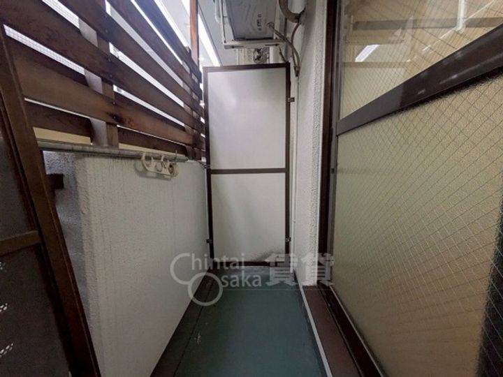 シロハイヌのその他画像