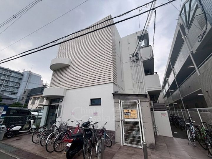 シロハイヌの外観