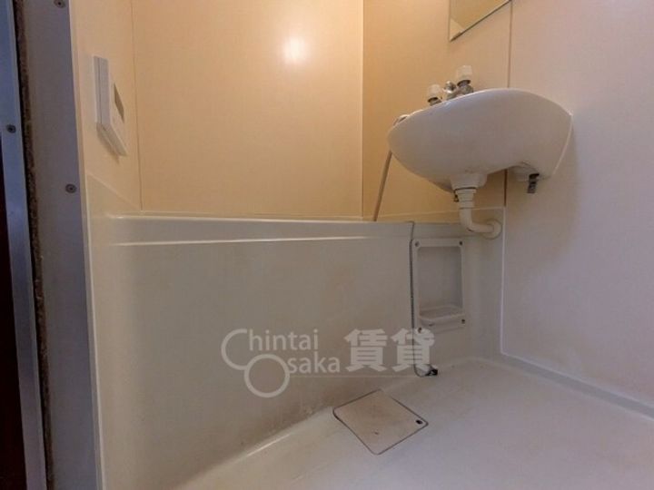 シロハイヌの風呂