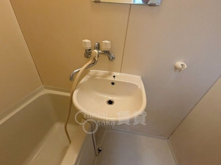 シロハイヌの内装