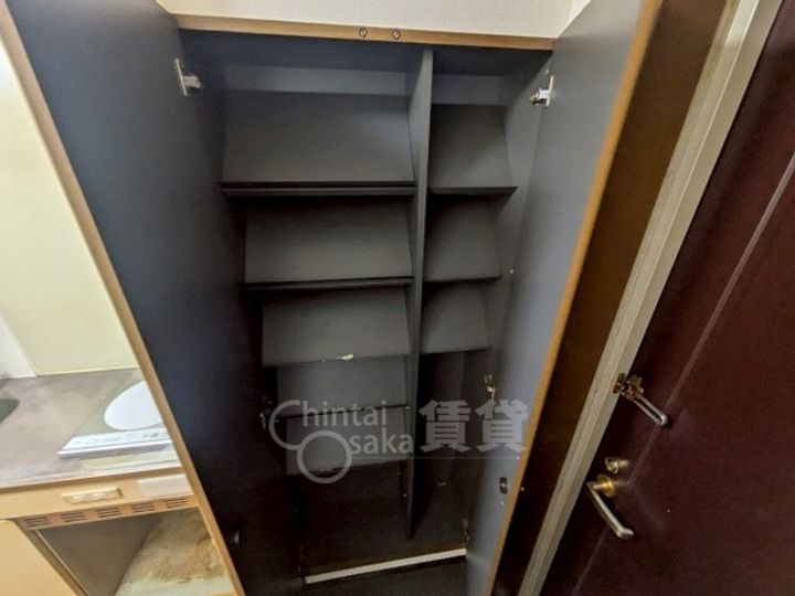 シロハイヌの内装