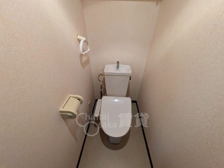 シロハイヌの内装