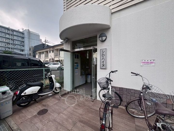 シロハイヌの玄関