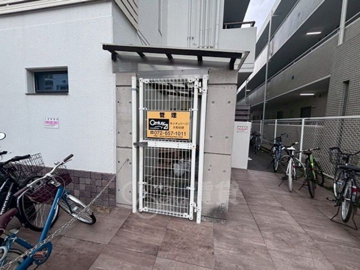 シロハイヌのその他画像