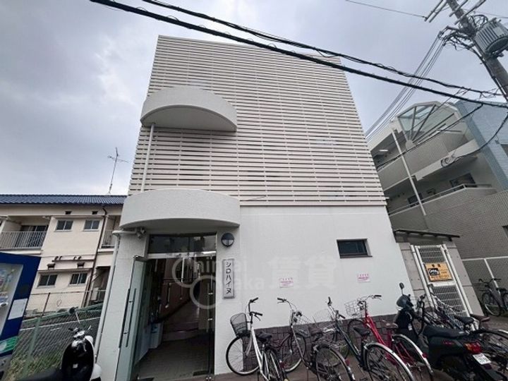 シロハイヌの外観