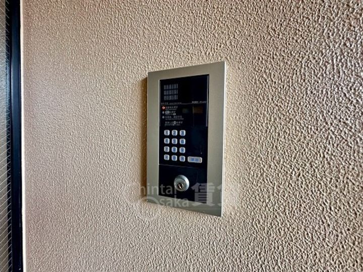 セントポーリアのその他画像