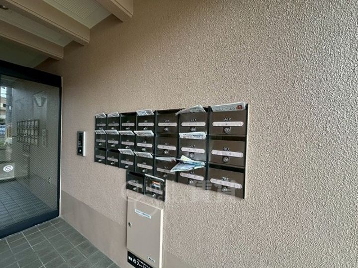 セントポーリアのその他画像