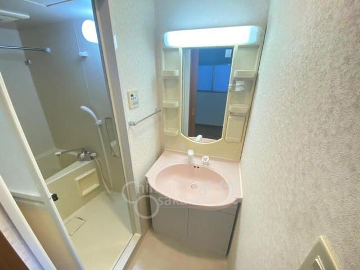 大阪府吹田市垂水町3丁目の賃貸マンションの内装