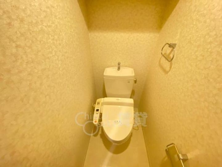 大阪府吹田市垂水町3丁目の賃貸マンションの内装