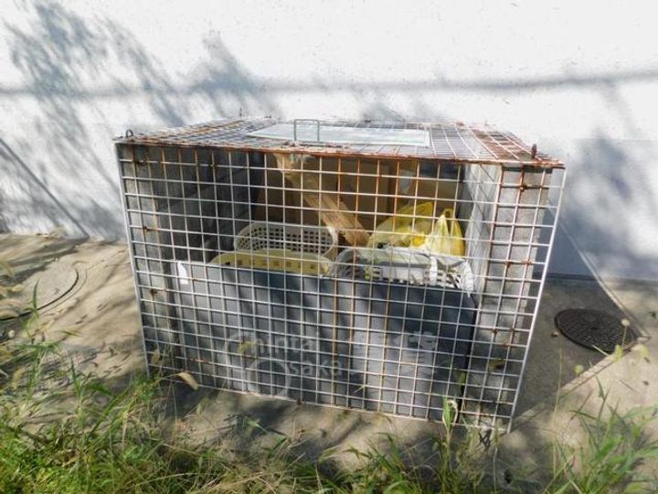 メゾンサクラ14のその他画像