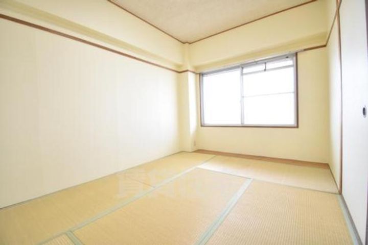 大阪府摂津市鶴野4丁目の賃貸マンションの内装