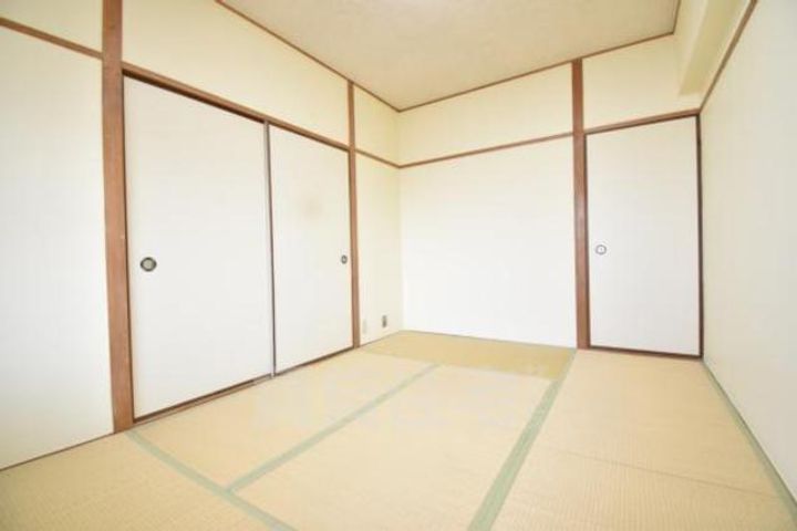 大阪府摂津市鶴野4丁目の賃貸マンションの内装