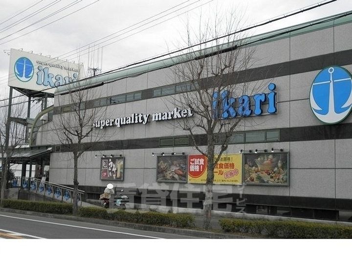 カトレアの周辺