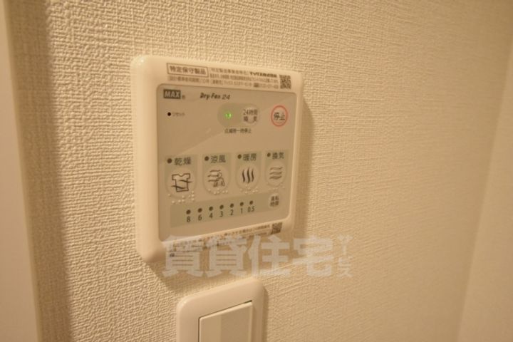 バウムのその他画像